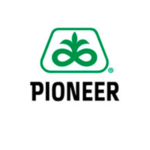 Pionner